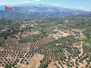 Αγροτεμάχια 4.165 τ.μ. προς πώληση, Κεράμια-thumb-5