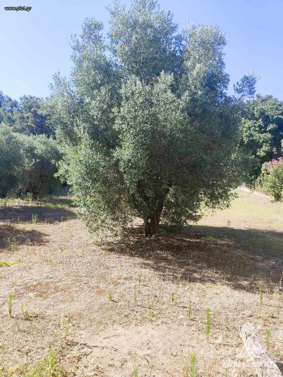 Μονοκατοικία 136 τ.μ. πρός πώληση, Θεσσαλονίκη - Περιφ/Κοί Δήμοι, Θερμαϊκός