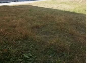 Land plot 200 sqm for rent