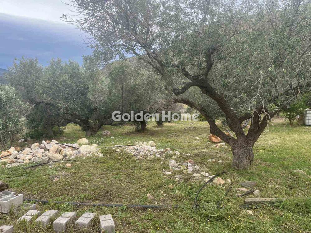 Οικόπεδο 2.564 τ.μ. προς πώληση, Αγία Παρασκευή Μονεμβασιάς