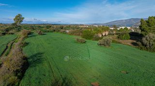Αγροτεμάχια 11.236 τ.μ. για πώληση, Αργολίδα, Κρανίδι-thumb-11