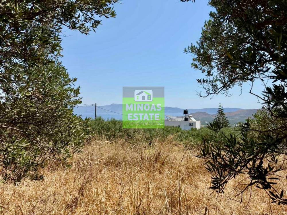 Οικόπεδο 854 τ.μ. προς πώληση, Νέο Χωριό Κισσάμου