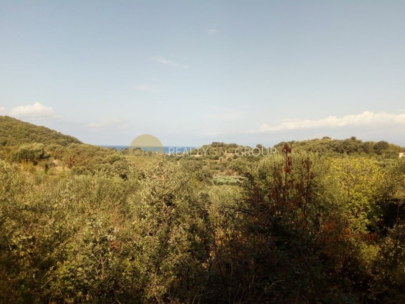 Αγροτεμάχια 21.000 τ.μ. πρός πώληση, Ν. Κέρκυρας, Κέρκυρα