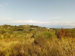 Αγροτεμάχια 21.000 τ.μ. πρός πώληση, Ν. Κέρκυρας, Κέρκυρα-thumb-5