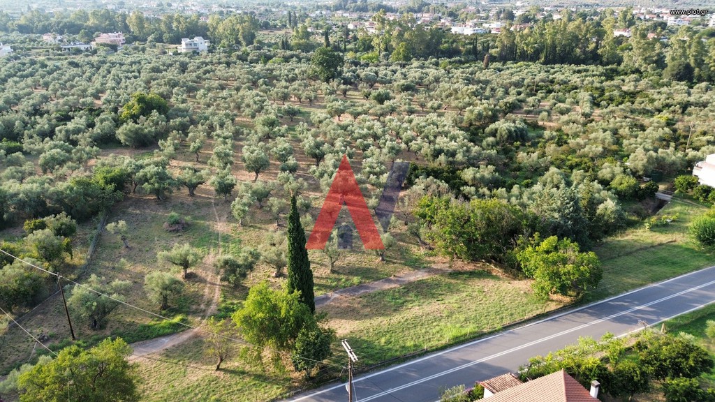 Οικόπεδο 27.000 τ.μ. προς πώληση, Κάτω Χώρα Μυστρά