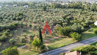 Οικόπεδο 27.000 τ.μ. για πώληση