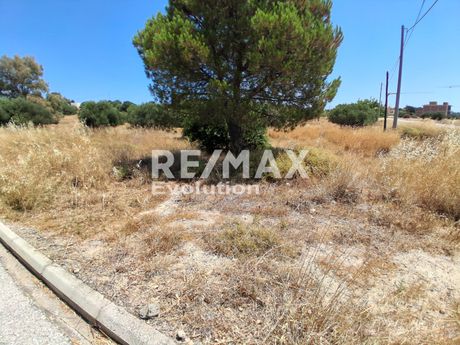 Οικόπεδο 3.245 τ.μ. πρός πώληση