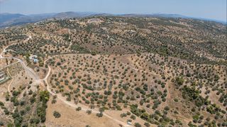Αγροτεμάχια 11.000 τ.μ. προς πώληση, Βερβερούδα-thumb-21