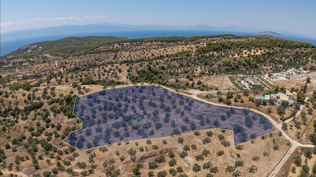 Αγροτεμάχια 11.000 τ.μ. πρός πώληση, Αργολίδα, Κρανίδι