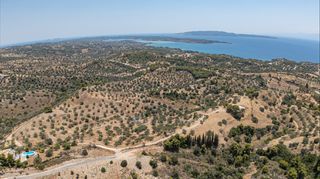 Αγροτεμάχια 11.000 τ.μ. προς πώληση, Βερβερούδα-thumb-9