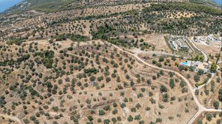 Αγροτεμάχια 11.000 τ.μ. προς πώληση, Βερβερούδα-thumb-22