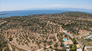 Αγροτεμάχια 11.000 τ.μ. προς πώληση, Βερβερούδα-thumb-7