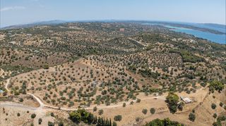 Αγροτεμάχια 11.000 τ.μ. προς πώληση, Βερβερούδα-thumb-12