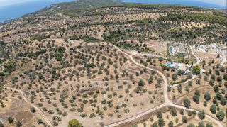 Αγροτεμάχια 11.000 τ.μ. προς πώληση, Βερβερούδα-thumb-23