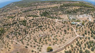Αγροτεμάχια 11.000 τ.μ. προς πώληση, Βερβερούδα-thumb-20