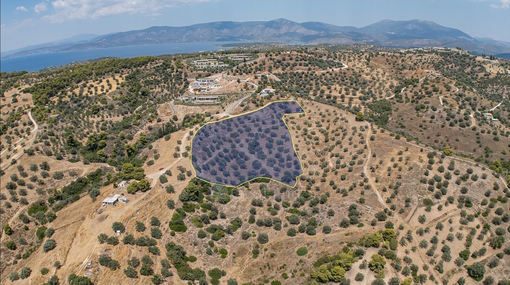 Αγροτεμάχια 11.000 τ.μ. πρός πώληση, Αργολίδα, Κρανίδι