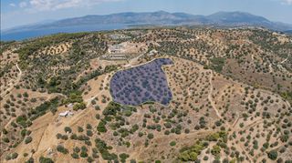 Αγροτεμάχια 11.000 τ.μ. προς πώληση, Βερβερούδα-thumb-3