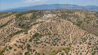 Αγροτεμάχια 11.000 τ.μ. προς πώληση, Βερβερούδα-thumb-15