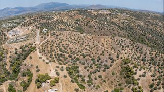 Αγροτεμάχια 11.000 τ.μ. προς πώληση, Βερβερούδα-thumb-14
