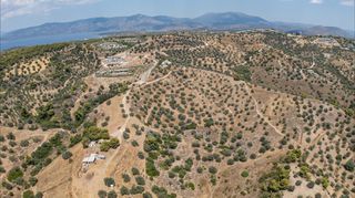 Αγροτεμάχια 11.000 τ.μ. προς πώληση, Βερβερούδα-thumb-10