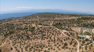 Αγροτεμάχια 11.000 τ.μ. προς πώληση, Βερβερούδα-thumb-5