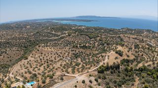 Αγροτεμάχια 11.000 τ.μ. προς πώληση, Βερβερούδα-thumb-8