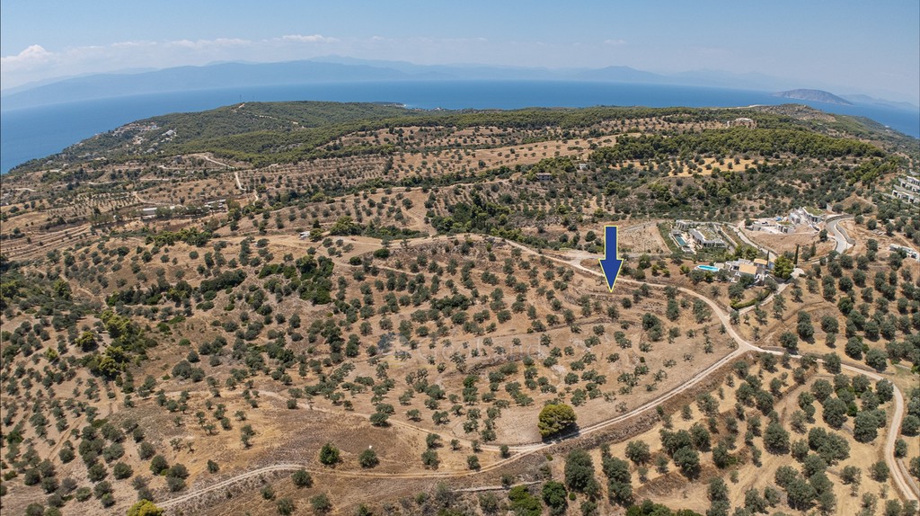 Αγροτεμάχια 11.000 τ.μ. πρός πώληση, Αργολίδα, Κρανίδι