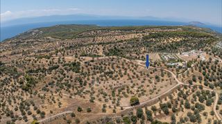 Αγροτεμάχια 11.000 τ.μ. προς πώληση, Βερβερούδα-thumb-4