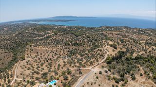 Αγροτεμάχια 11.000 τ.μ. για πώληση