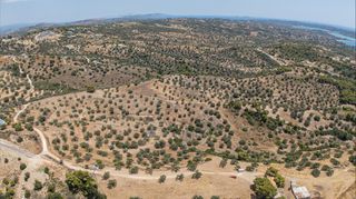 Αγροτεμάχια 11.000 τ.μ. προς πώληση, Βερβερούδα-thumb-13