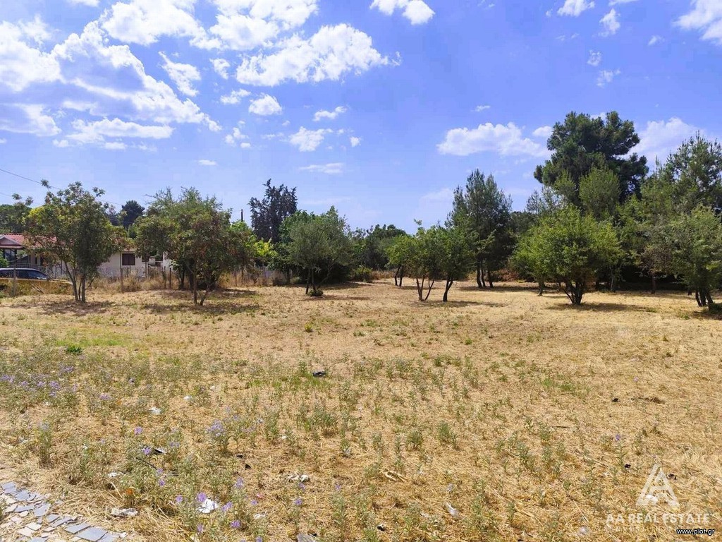 Οικόπεδο 1.690 τ.μ. πρός πώληση, Χαλκιδική, Καλλικράτεια