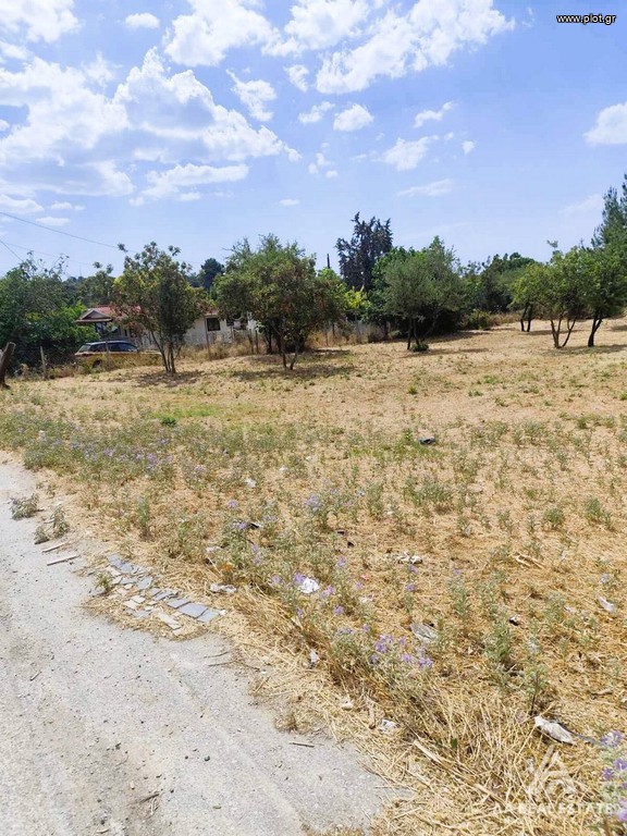 Οικόπεδο 1.690 τ.μ. πρός πώληση, Χαλκιδική, Καλλικράτεια