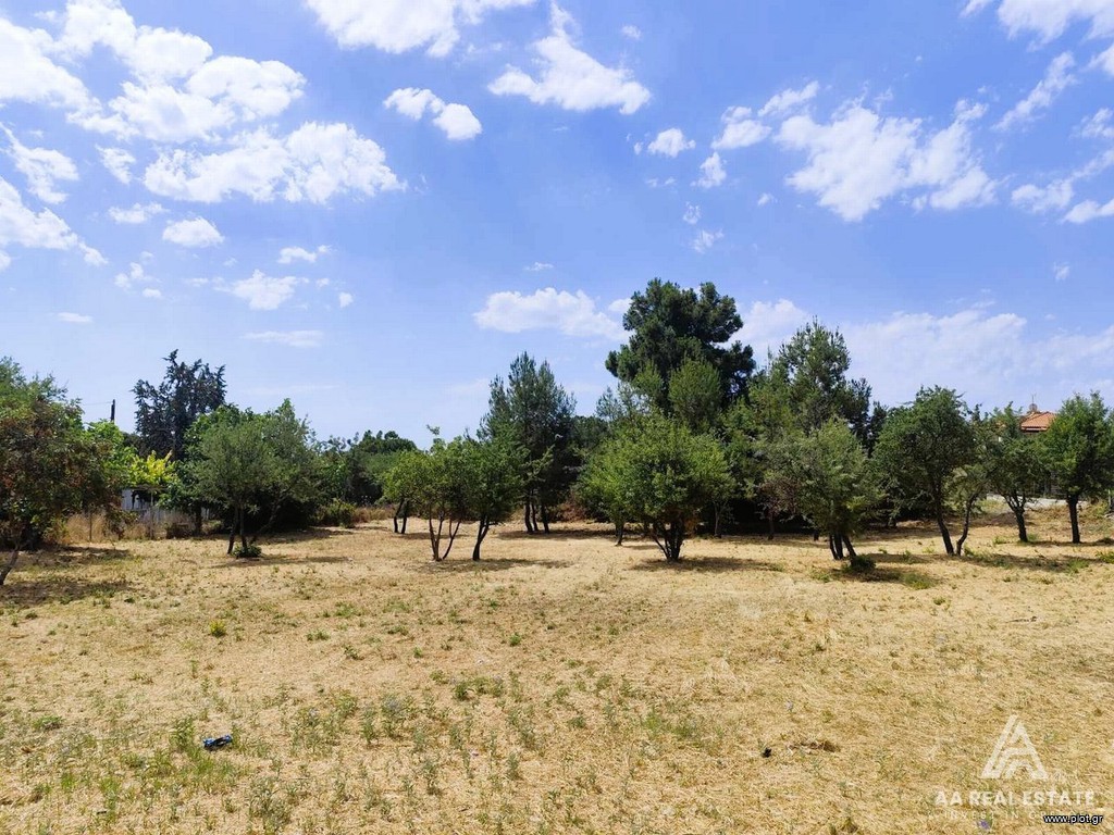 Οικόπεδο 1.690 τ.μ. πρός πώληση, Χαλκιδική, Καλλικράτεια