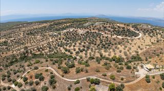 Αγροτεμάχια 12.025 τ.μ. για πώληση, Αργολίδα, Κρανίδι-thumb-9