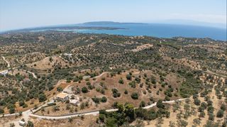 Αγροτεμάχια 12.025 τ.μ. για πώληση