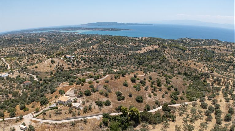 Αγροτεμάχια 12.025 τ.μ. για πώληση, Αργολίδα, Κρανίδι