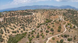 Αγροτεμάχια 12.025 τ.μ. για πώληση, Αργολίδα, Κρανίδι-thumb-6