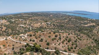 Αγροτεμάχια 12.025 τ.μ. για πώληση, Αργολίδα, Κρανίδι-thumb-17