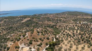 Αγροτεμάχια 12.025 τ.μ. για πώληση, Αργολίδα, Κρανίδι-thumb-14