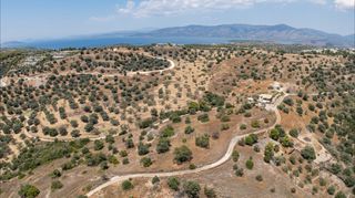 Αγροτεμάχια 12.025 τ.μ. για πώληση, Αργολίδα, Κρανίδι-thumb-23