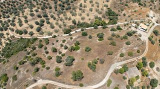 Αγροτεμάχια 12.025 τ.μ. για πώληση, Αργολίδα, Κρανίδι-thumb-24