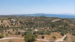 Αγροτεμάχια 12.025 τ.μ. για πώληση, Αργολίδα, Κρανίδι-thumb-5