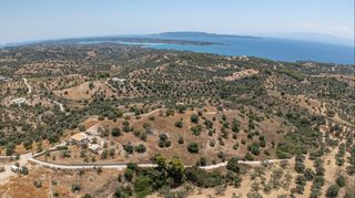 Αγροτεμάχια 12.025 τ.μ. για πώληση, Αργολίδα, Κρανίδι-thumb-13