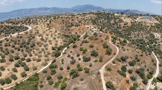 Αγροτεμάχια 12.025 τ.μ. για πώληση, Αργολίδα, Κρανίδι-thumb-16