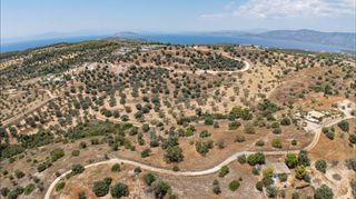 Αγροτεμάχια 12.025 τ.μ. για πώληση, Αργολίδα, Κρανίδι-thumb-8
