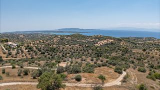Αγροτεμάχια 12.025 τ.μ. για πώληση, Αργολίδα, Κρανίδι-thumb-20