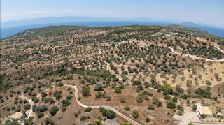Αγροτεμάχια 12.025 τ.μ. για πώληση, Αργολίδα, Κρανίδι-thumb-10