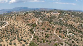 Αγροτεμάχια 12.025 τ.μ. για πώληση, Αργολίδα, Κρανίδι-thumb-19
