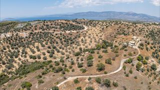 Αγροτεμάχια 12.025 τ.μ. για πώληση, Αργολίδα, Κρανίδι-thumb-7