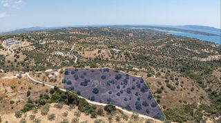 Αγροτεμάχια 12.025 τ.μ. για πώληση, Αργολίδα, Κρανίδι-thumb-1